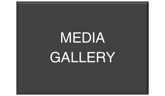 Media Gallery