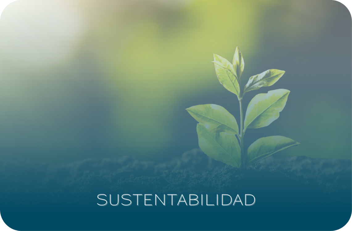 Sustainability