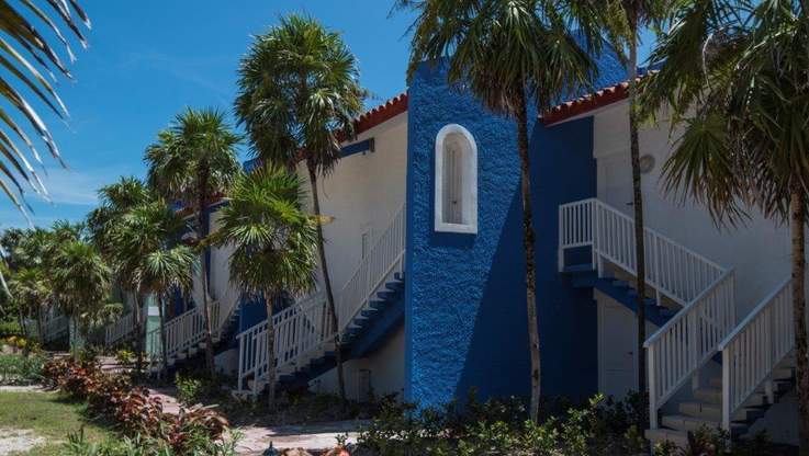 a white house with palm trees