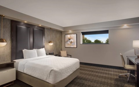 Queen bed guest room with bright lighting