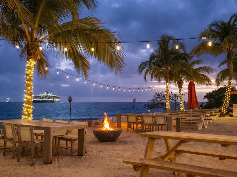 a fire pit with palm trees and a cruise ship in the background