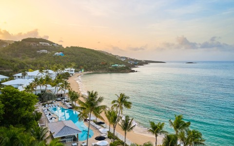 a beach with palm trees and a pool