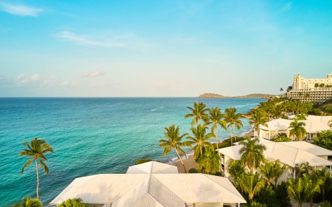 a beach with palm trees and buildings