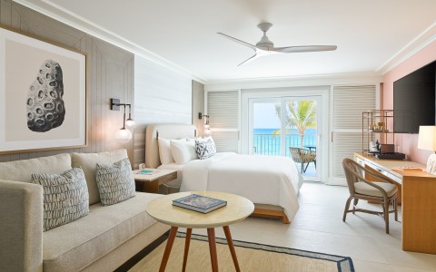 a room with a bed and a couch