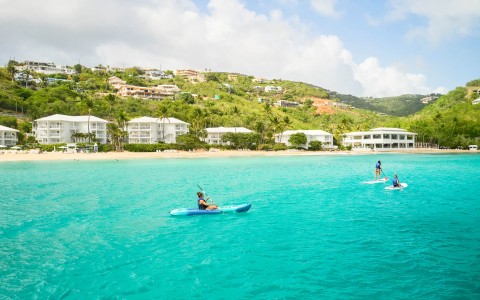 people kayaking on the water