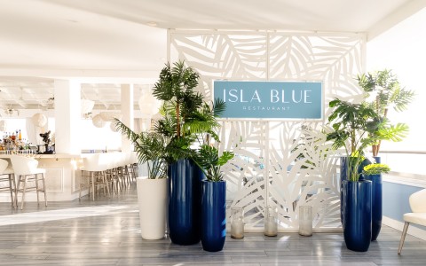 a group of plants in large blue vases