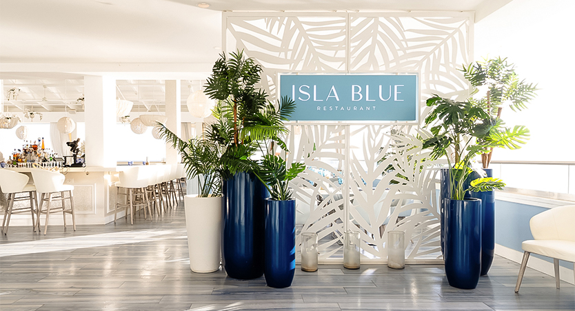 a group of potted plants in front of a restaurant
