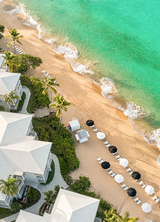 a beach with umbrellas and chairs