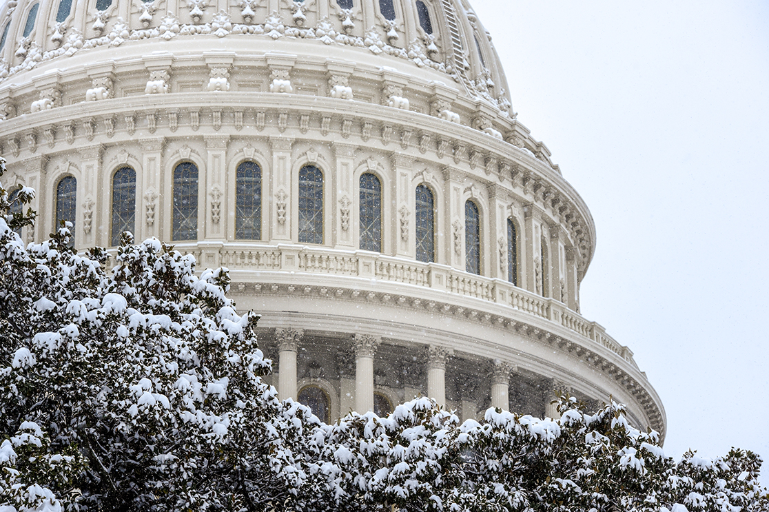 a snow covered trees in front of a building