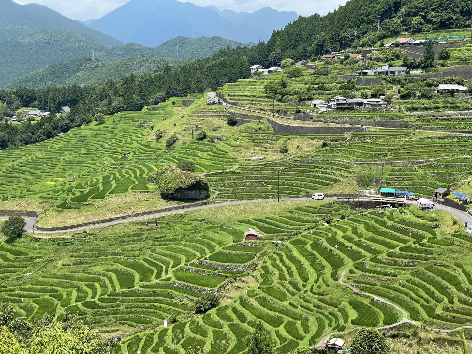 mihama maruyamasenmaida