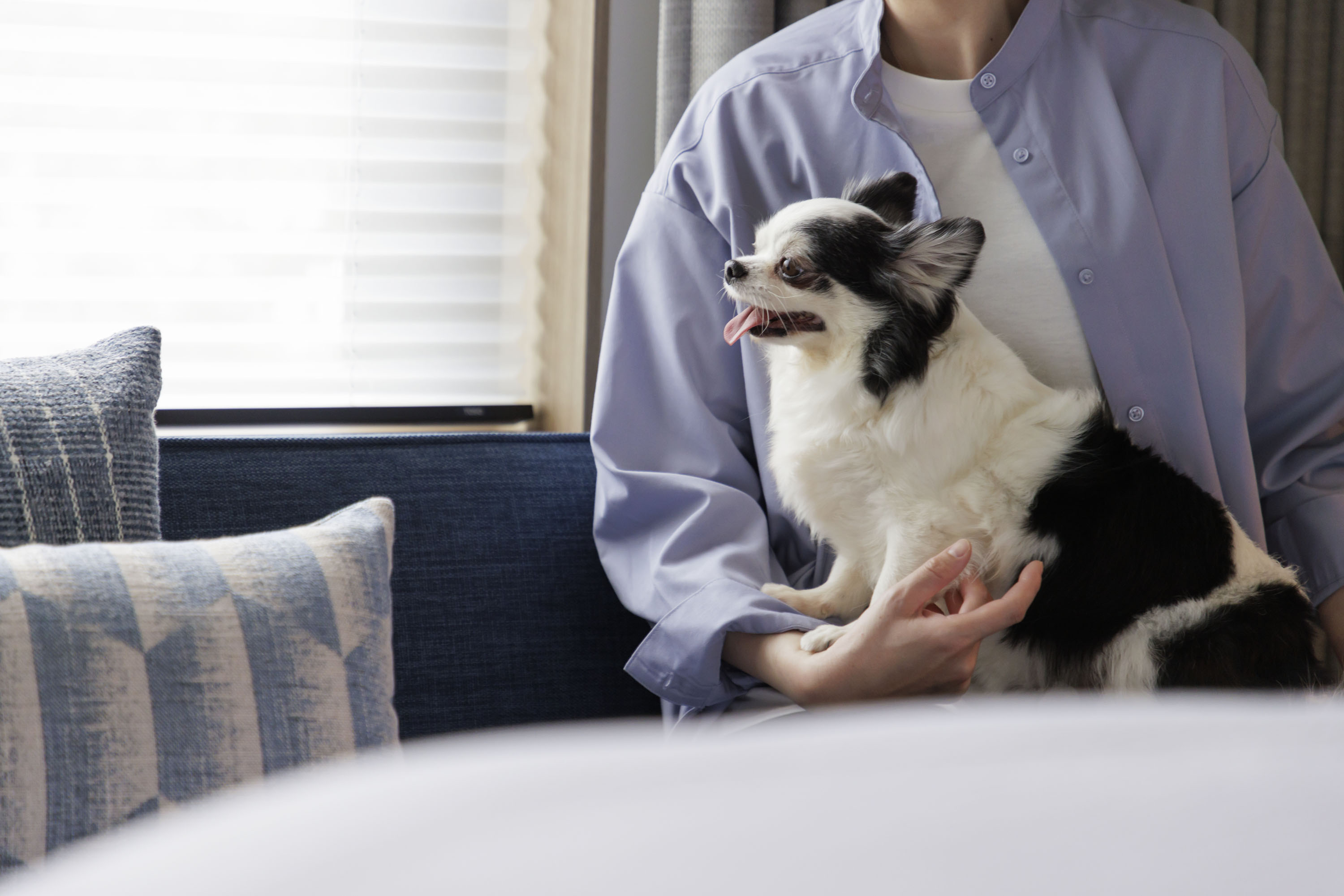 a person holding a dog