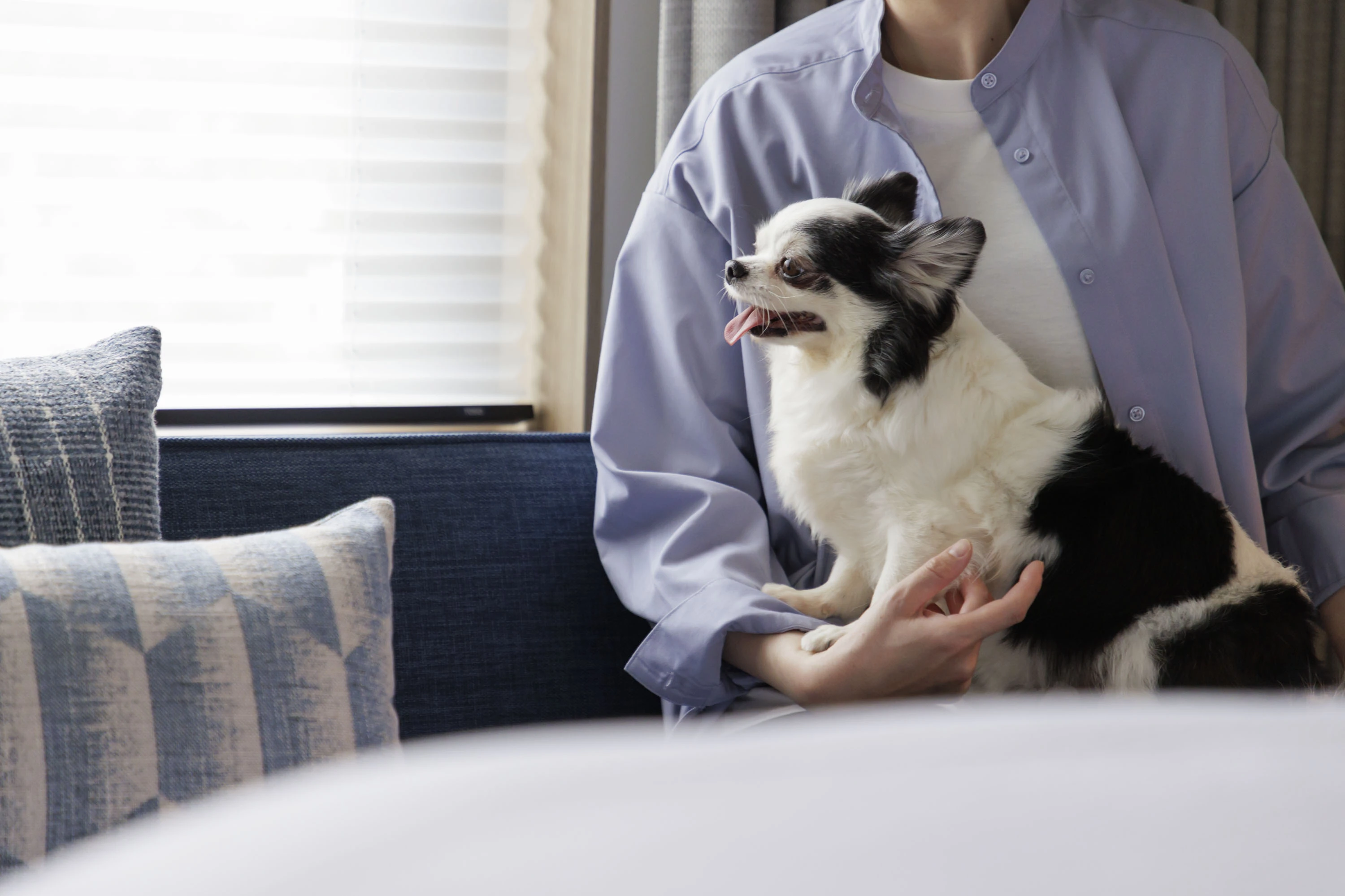a person holding a dog