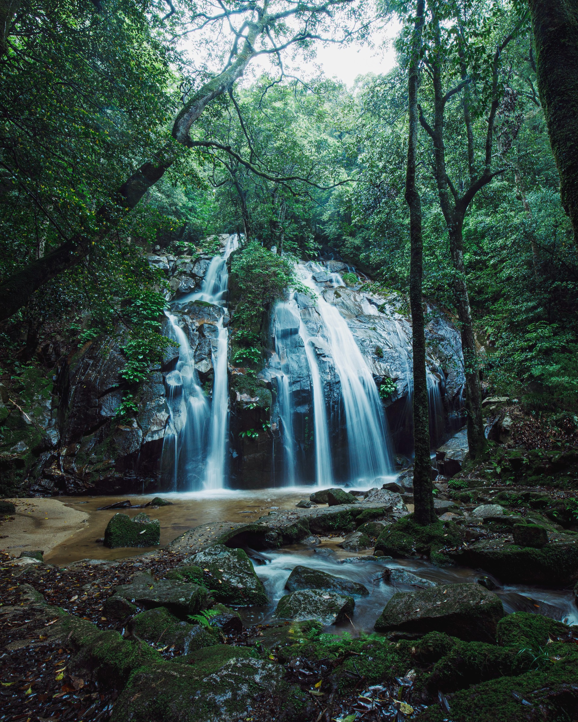 a waterfall in the woods