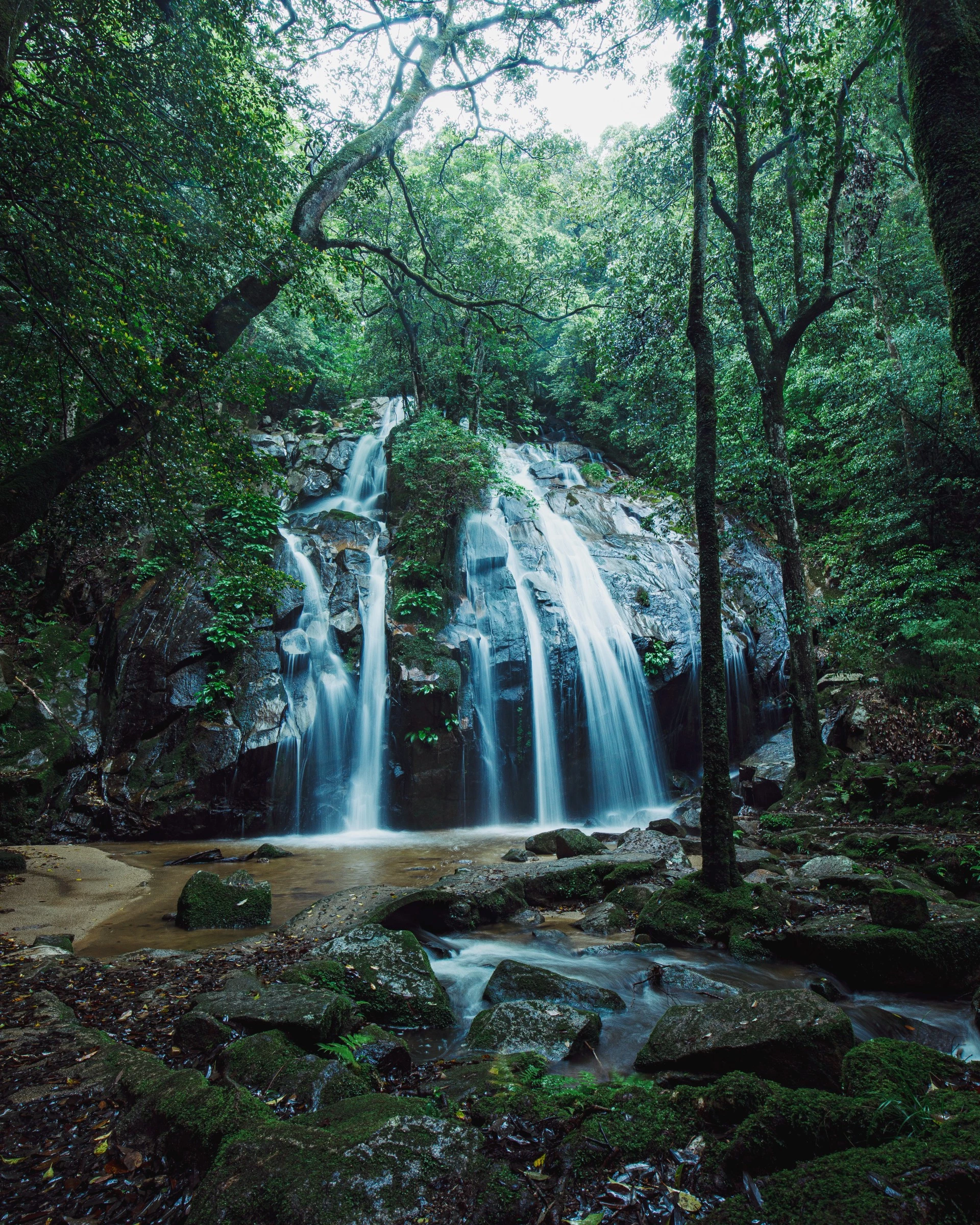 a waterfall in the woods