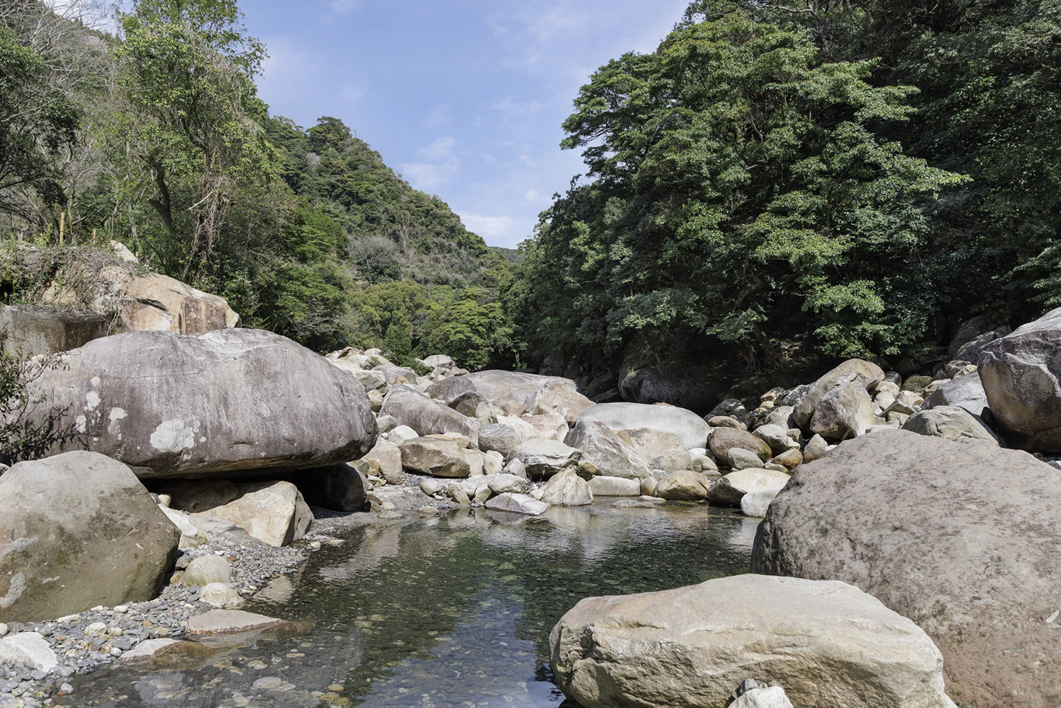 a river with rocks and trees