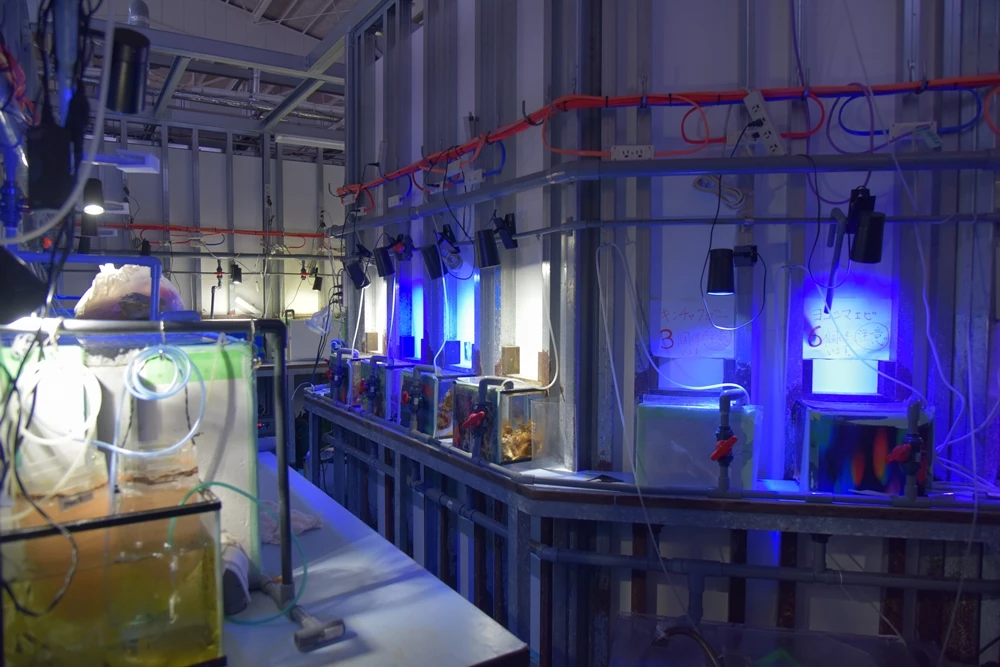 a room with blue lights and pipes