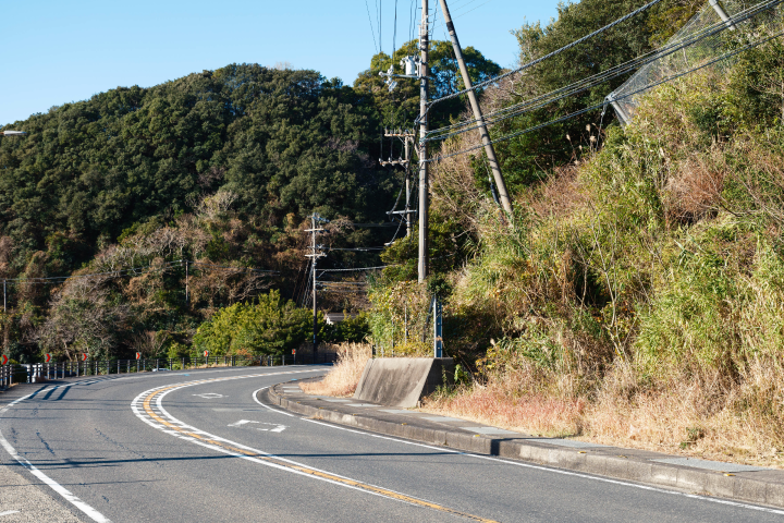 a road with trees and power lines
