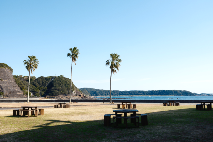 a picnic table and benches in a grassy area with palm trees and a body of water