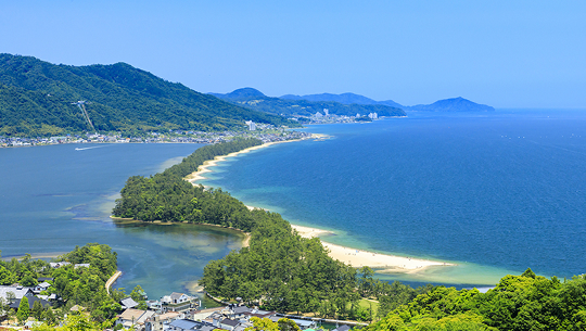 a beach with trees and a body of water