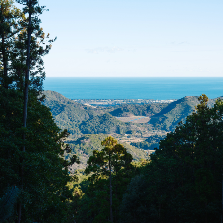 a view of a valley with trees and a body of water in the background