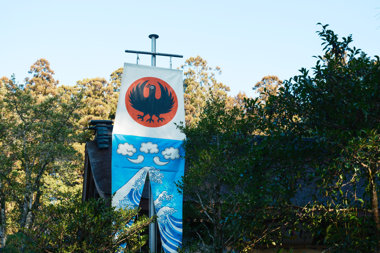 a flag from a pole
