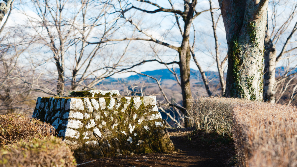 a stone wall with moss growing on it