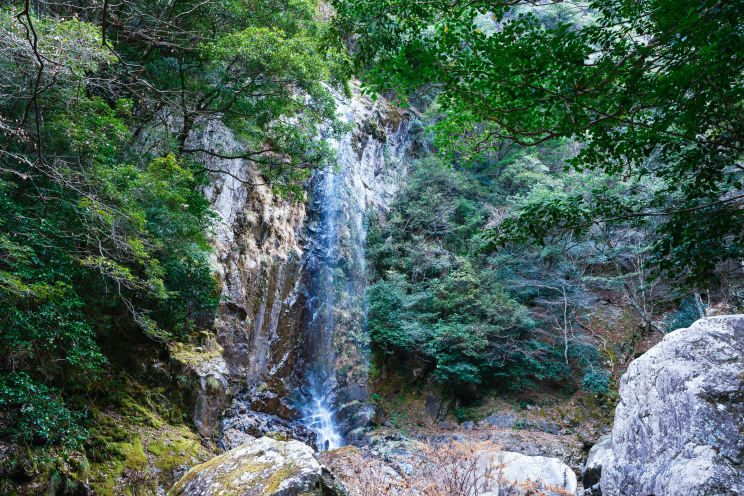 a waterfall in a forest