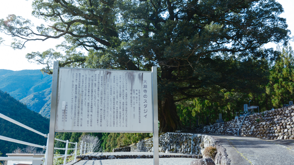 a sign with text on it