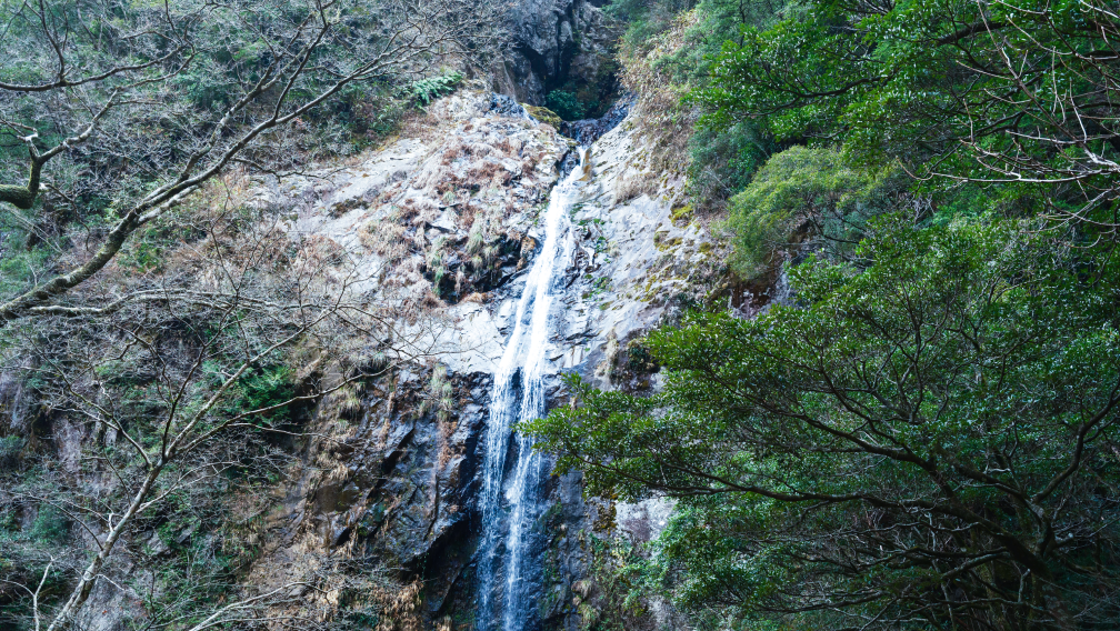a waterfall in a forest