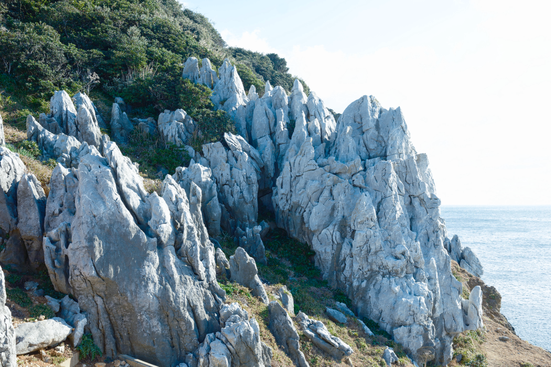 a rocky cliff with trees and bushes