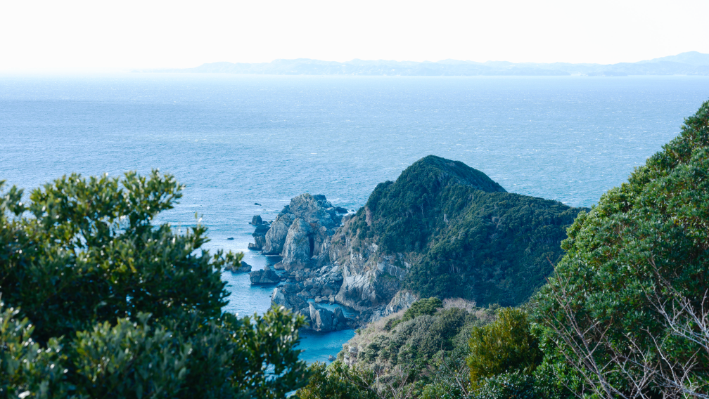 a rocky coast with trees and water