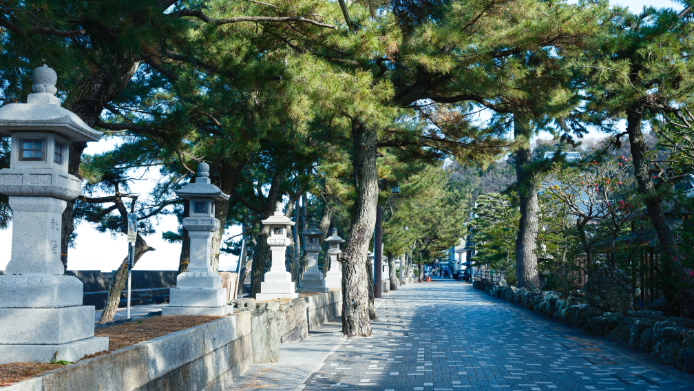 a stone walkway with trees and stone lanterns