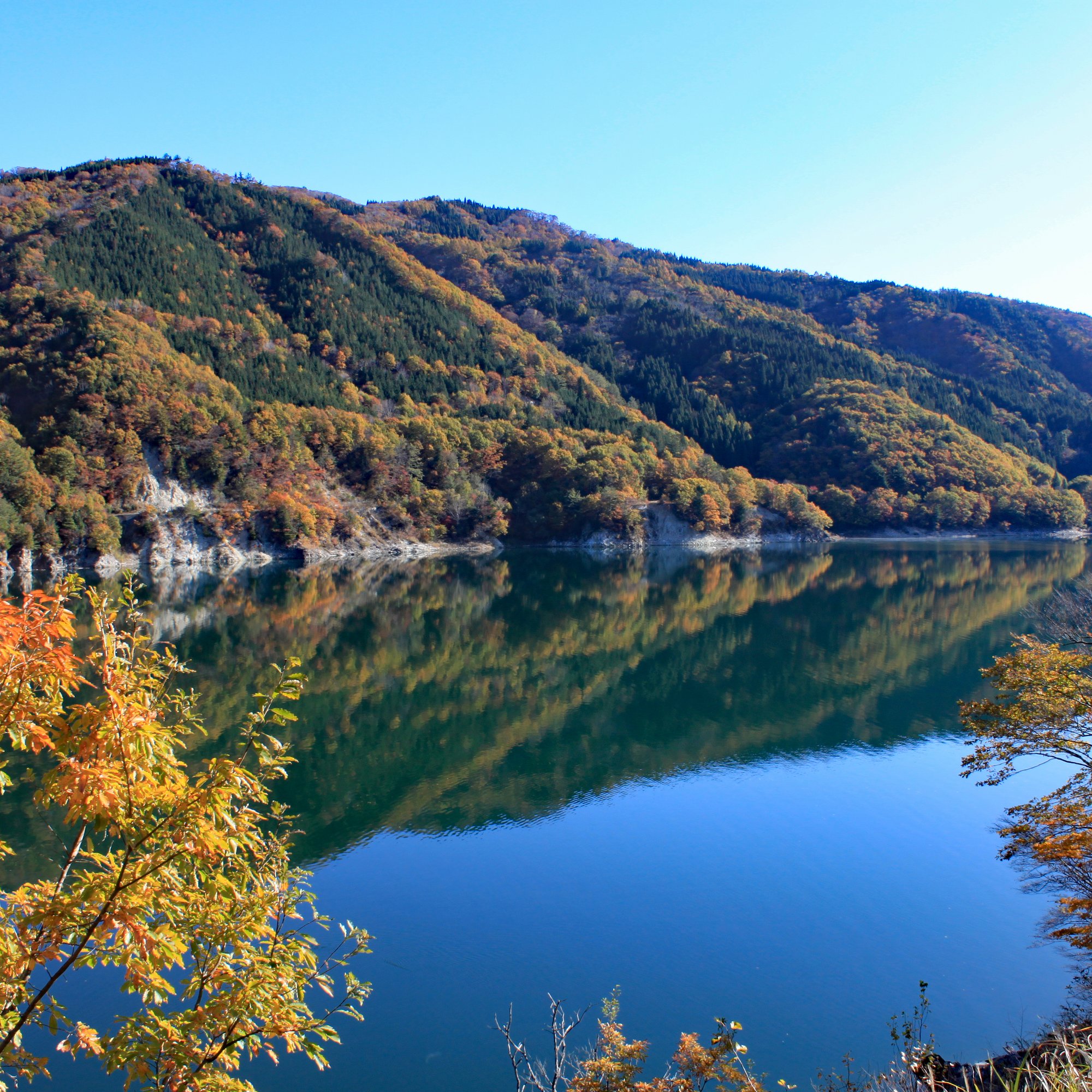 a lake with trees and mountains in the background
