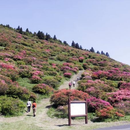 Array