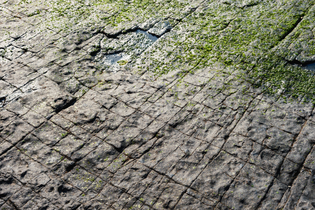 a close up of a stone surface