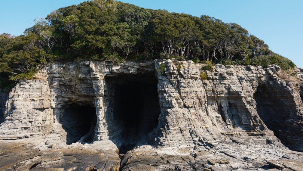 a rock cliff with trees on top