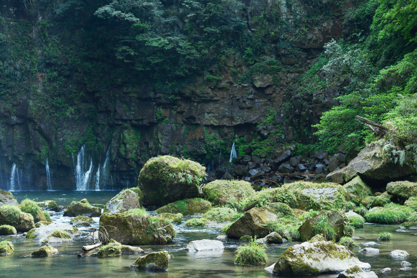 a waterfall in a forest