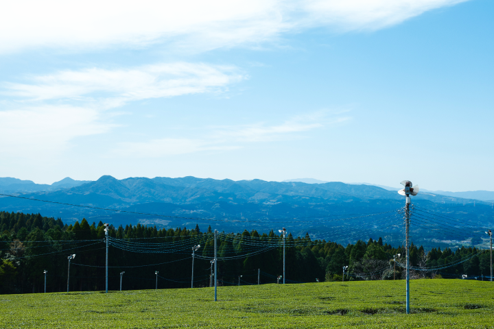 a field of grass with power lines and mountains in the background