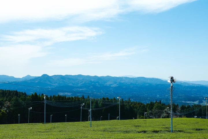 a field of grass with power lines and mountains in the background