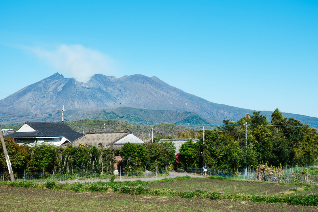 a field with trees and a mountain in the background
