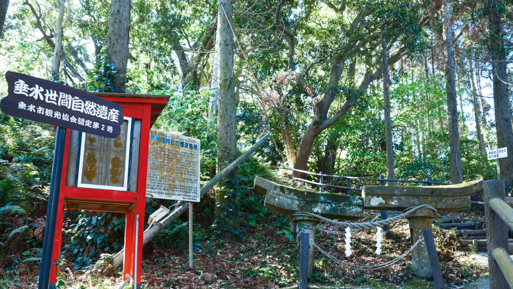 a sign in a forest