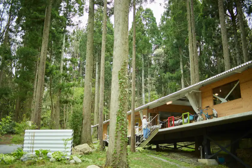 a house with trees in the background