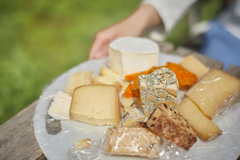 a plate of cheese on a table