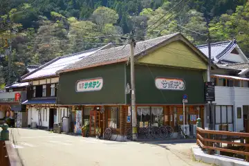 a building with a green roof