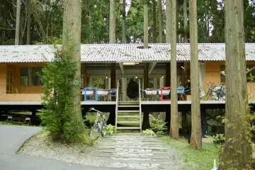 a house with a ladder in the woods