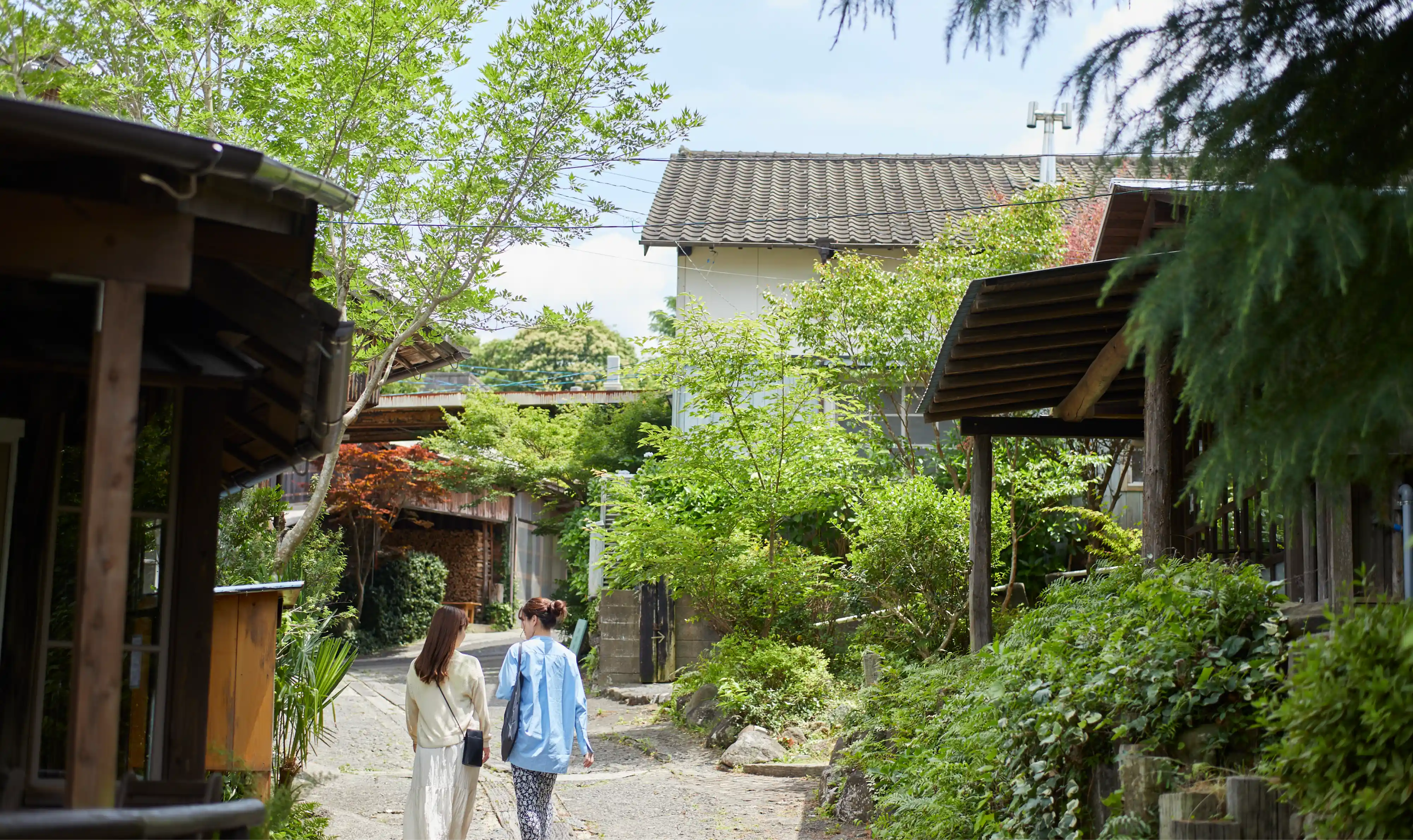 two women walking down a path with trees and buildings