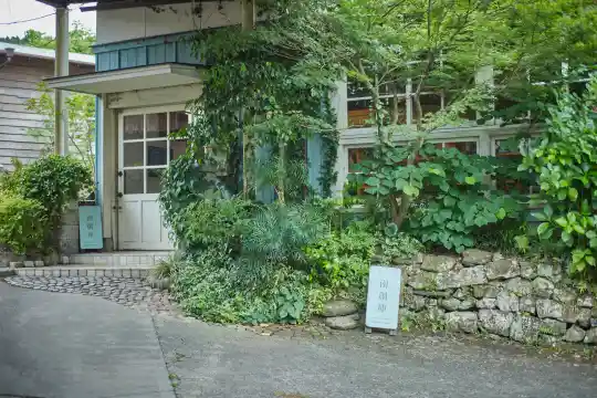a house with plants around it