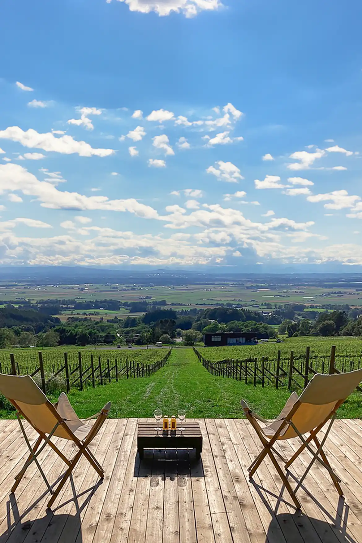 chairs on a deck overlooking a vineyard