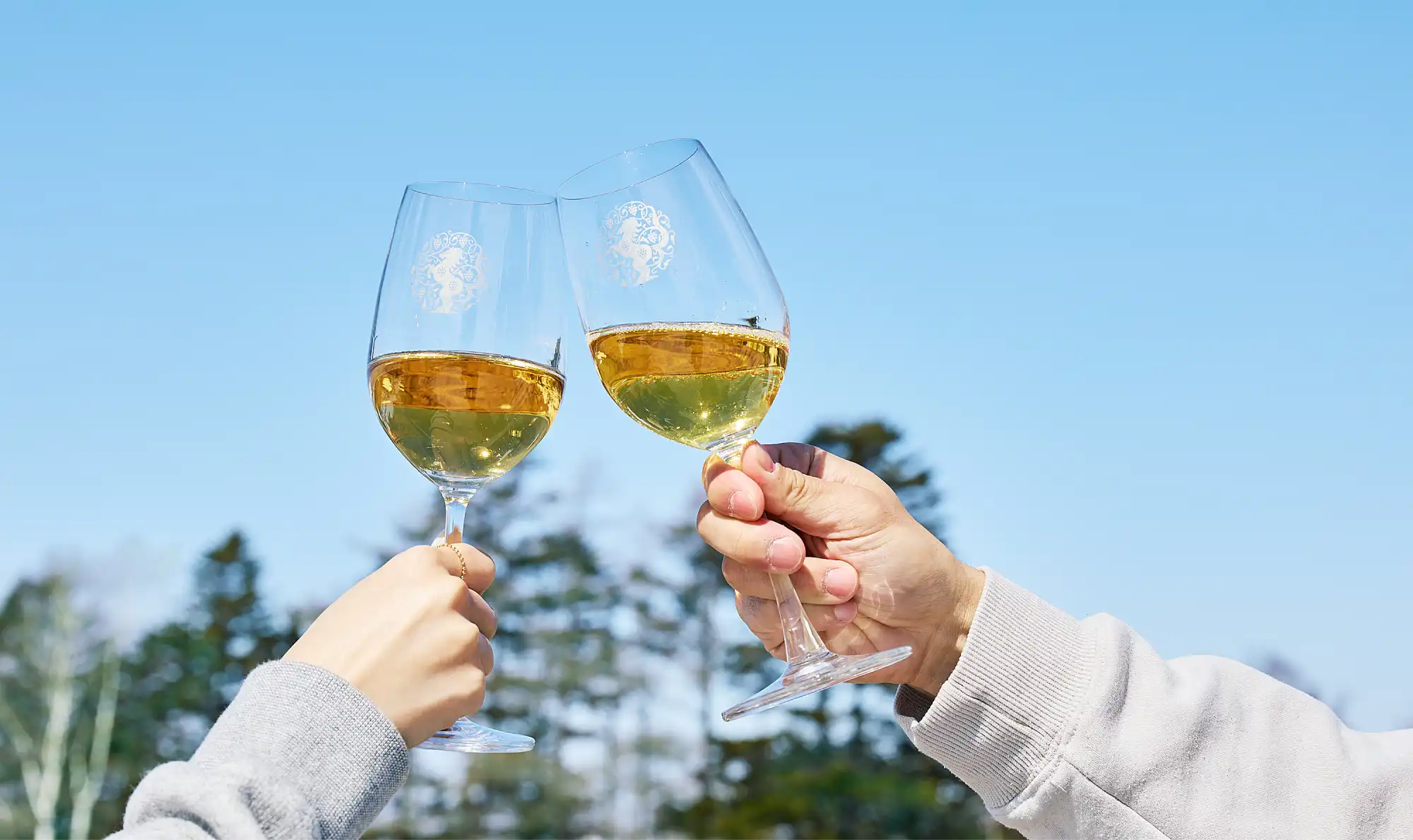 a pair of hands holding wine glasses