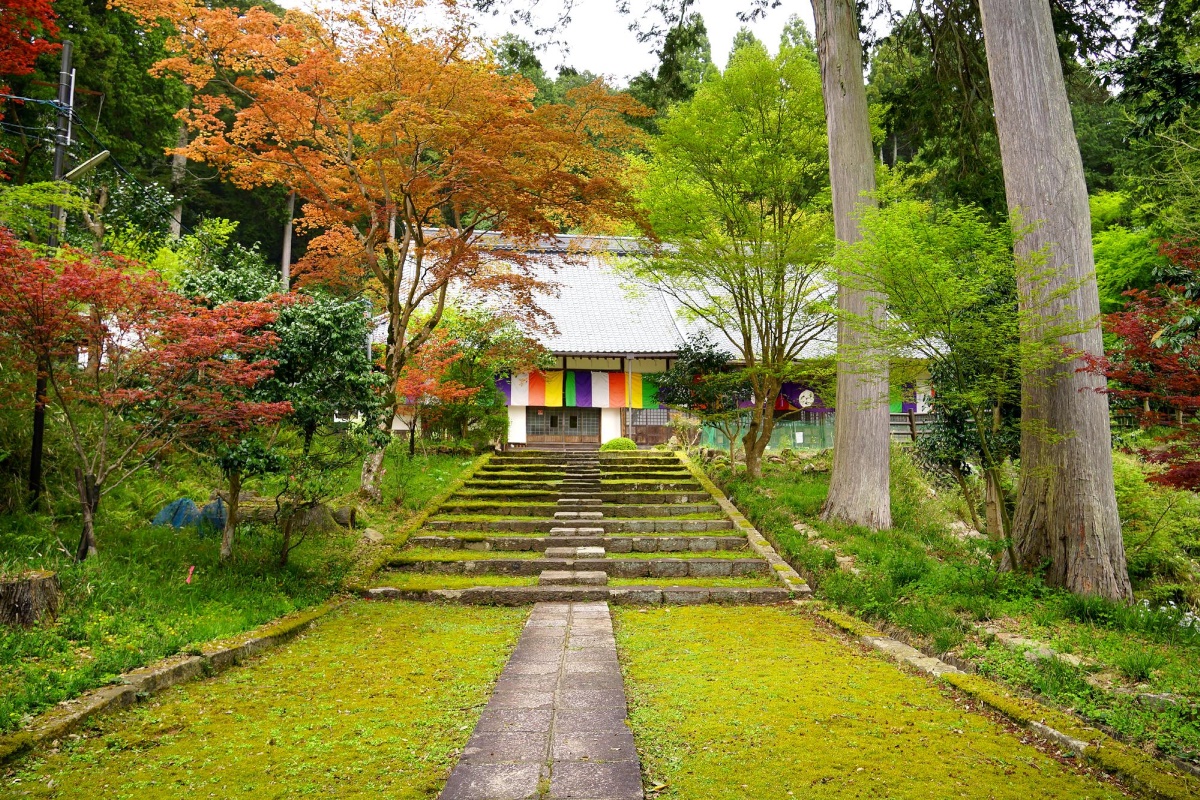 a building with a colorful striped awning and a walkway in front of trees